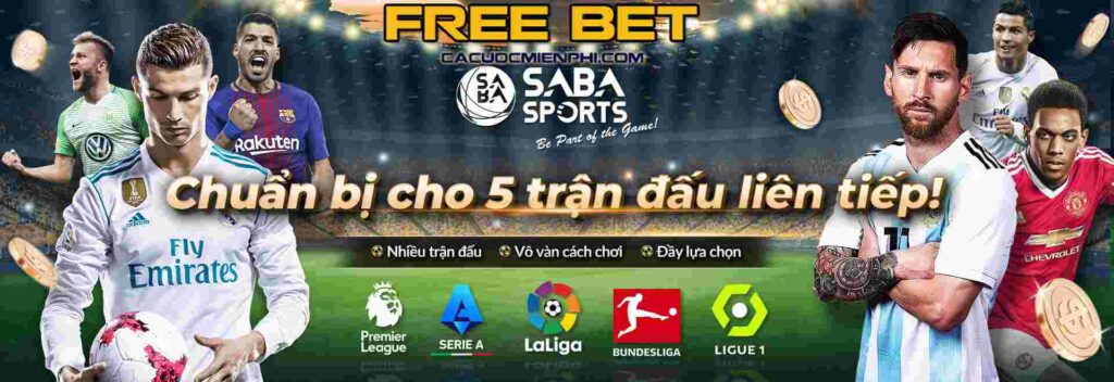 Các trang web máy đánh bạc cấp độ Bay789 sẽ dễ dàng bị tấn công vào năm 2026 - Bay789