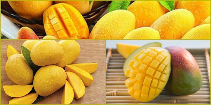 Game đá gà cấp độ Bay789 tương thích với mọi hệ điều hành - Bay789